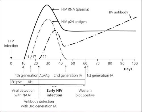 How Does The HIV Test Work? - Melbourne Rapid HIV Testing