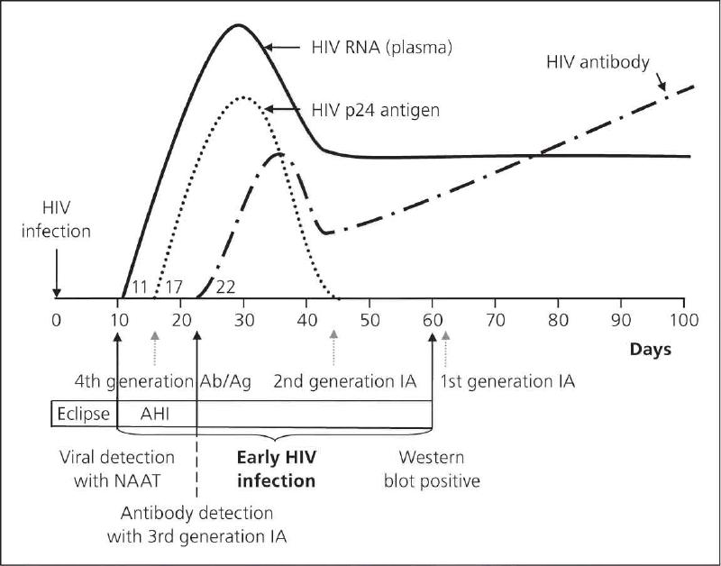 How Does The HIV Test Work? Melbourne Rapid HIV Testing