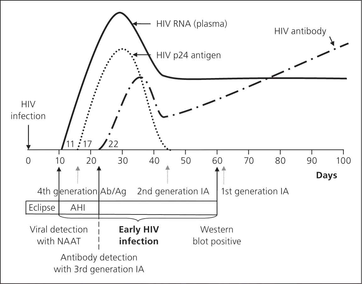 HIV Antibody Curve